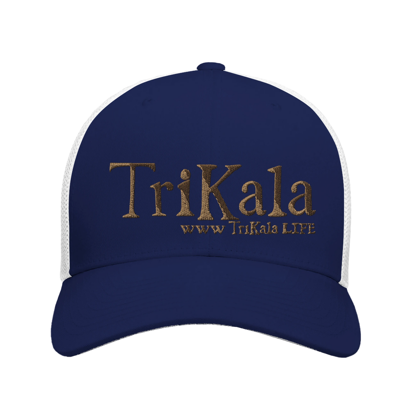 1fb297aa-225d-42d1-999f-4de2161ada00