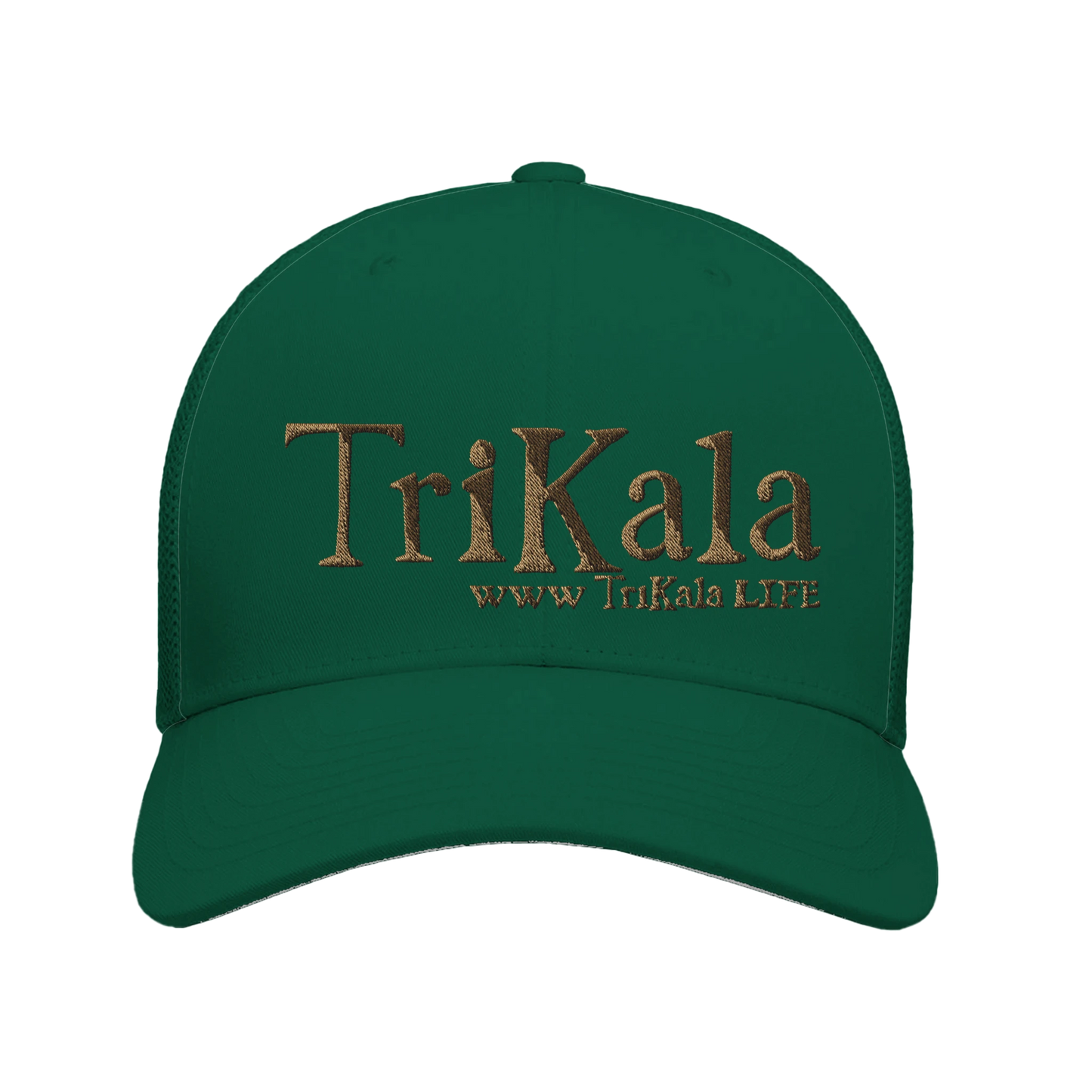 2a0f0a78-b50c-4486-b6ea-ae8b7a1bc2fd