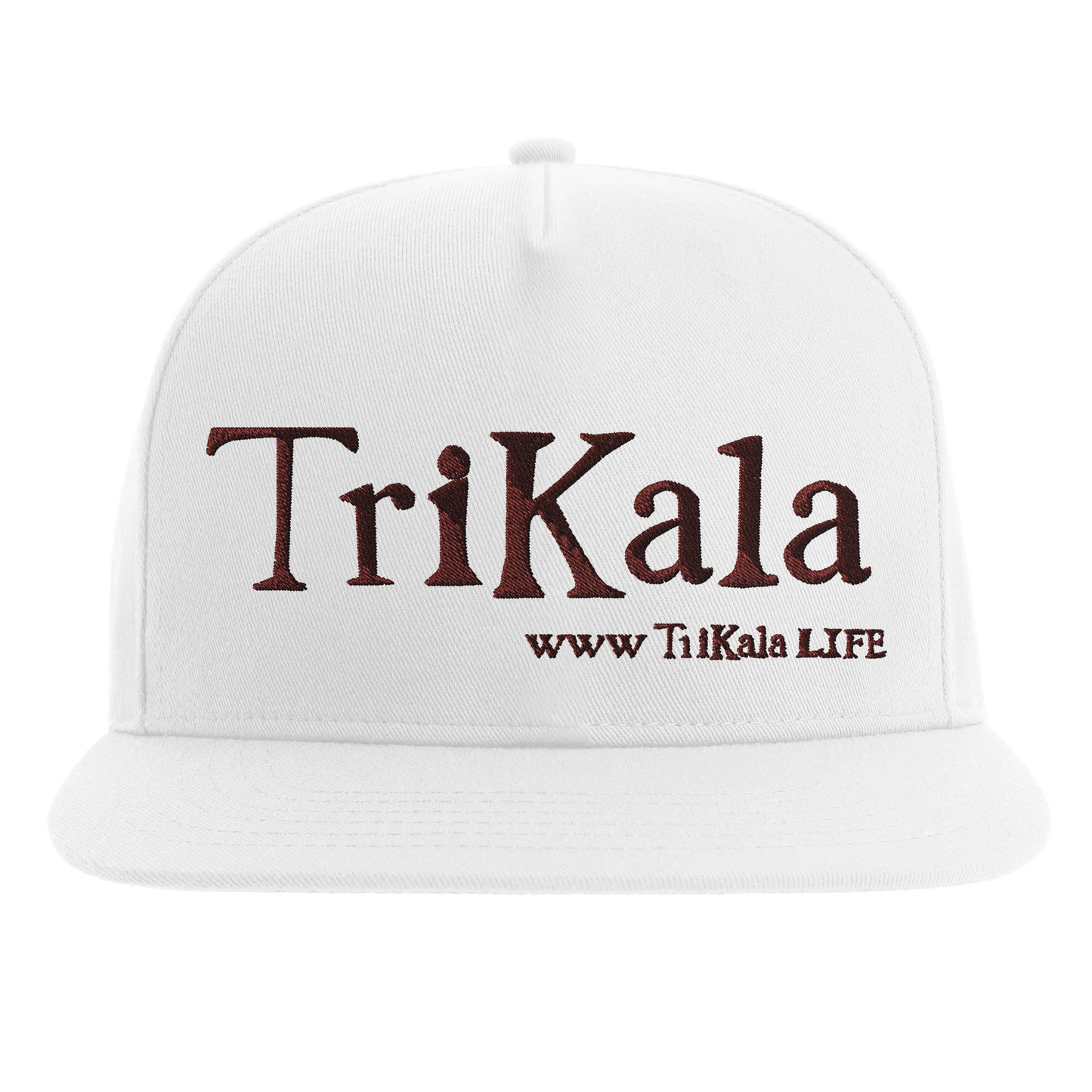 2a92106f-7ad8-41c6-a76b-cc8bc58718de