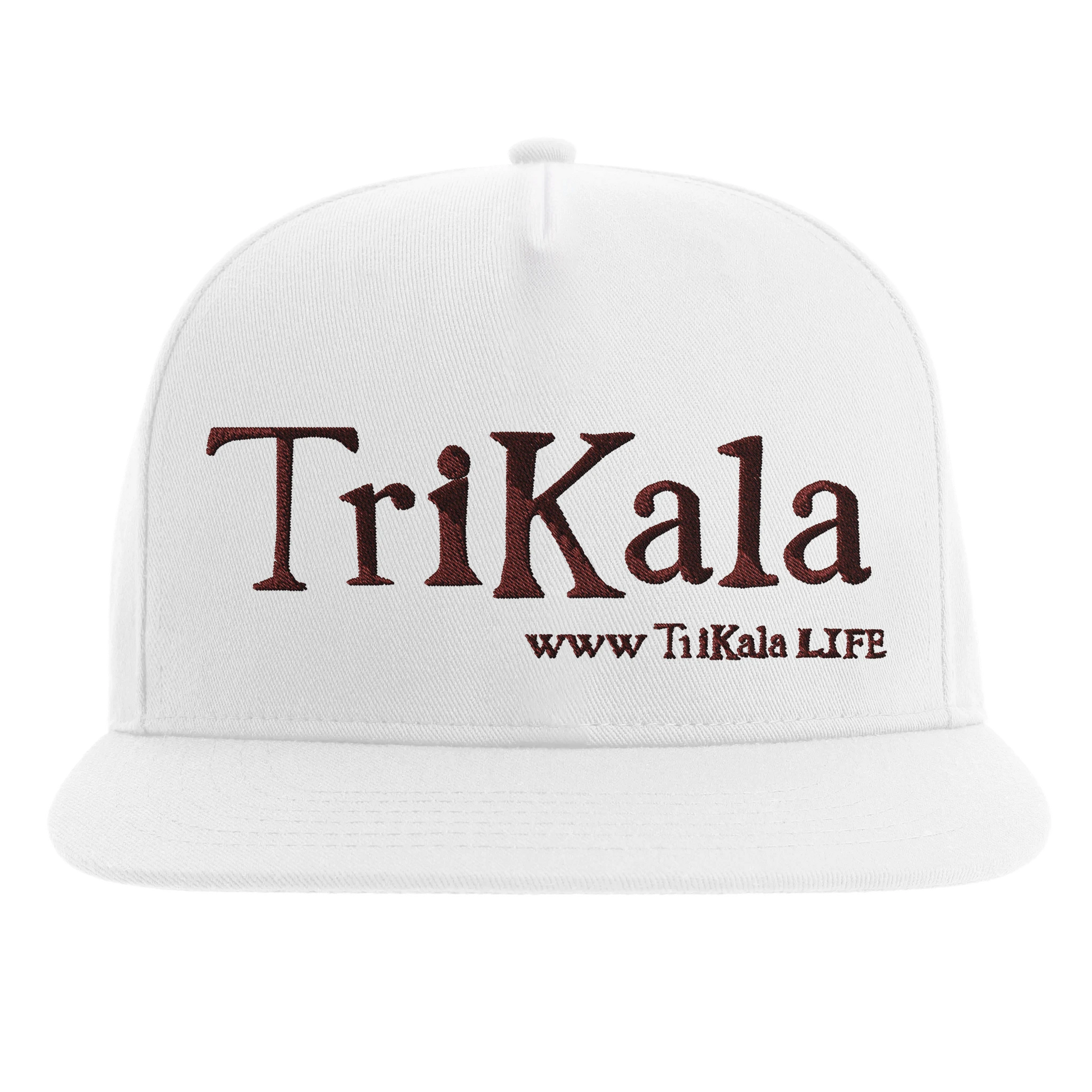 2a92106f-7ad8-41c6-a76b-cc8bc58718de