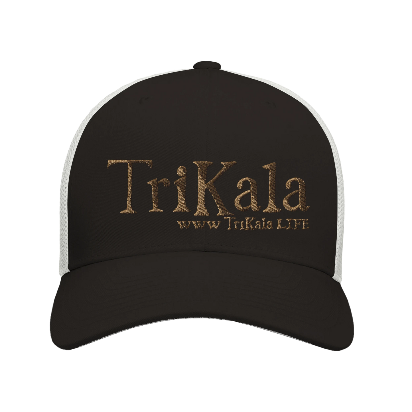 3a981539-9803-440d-85b4-34a164edbe67