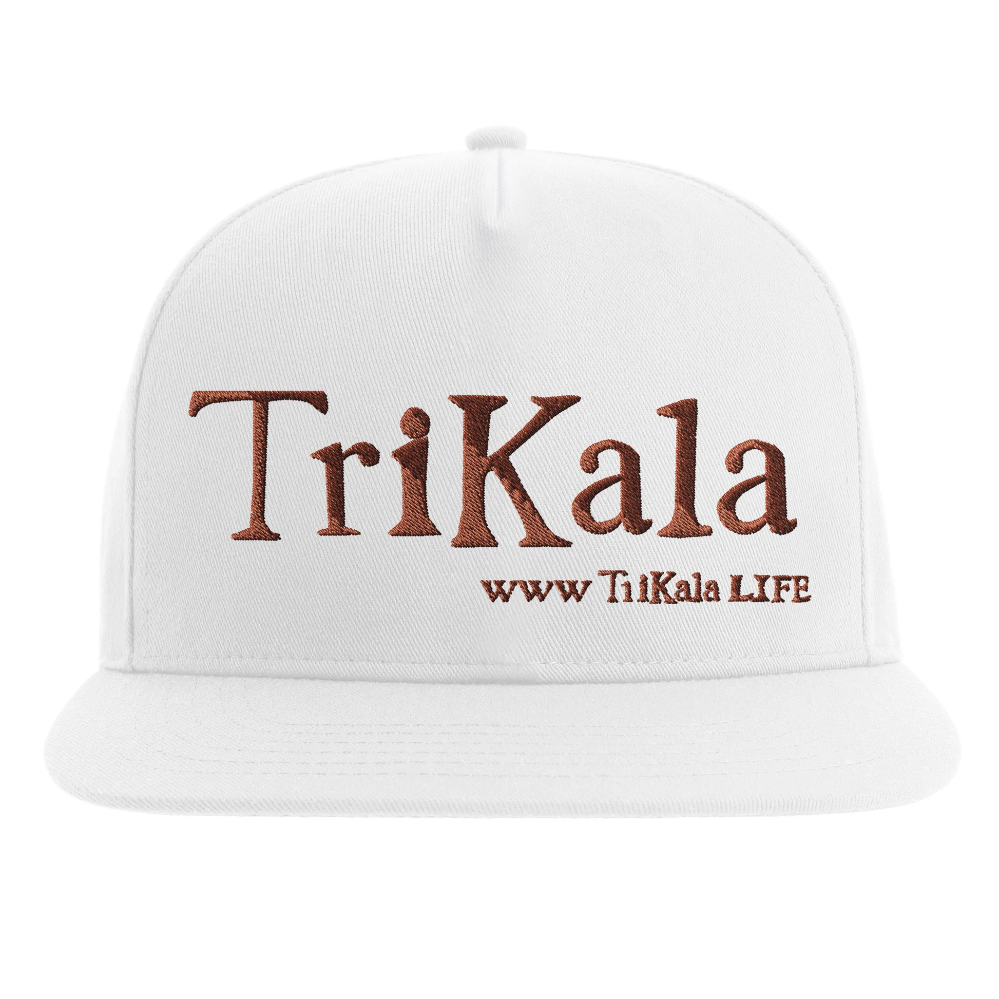 478f57e4-3fa9-4b36-b022-e42df2512cc1