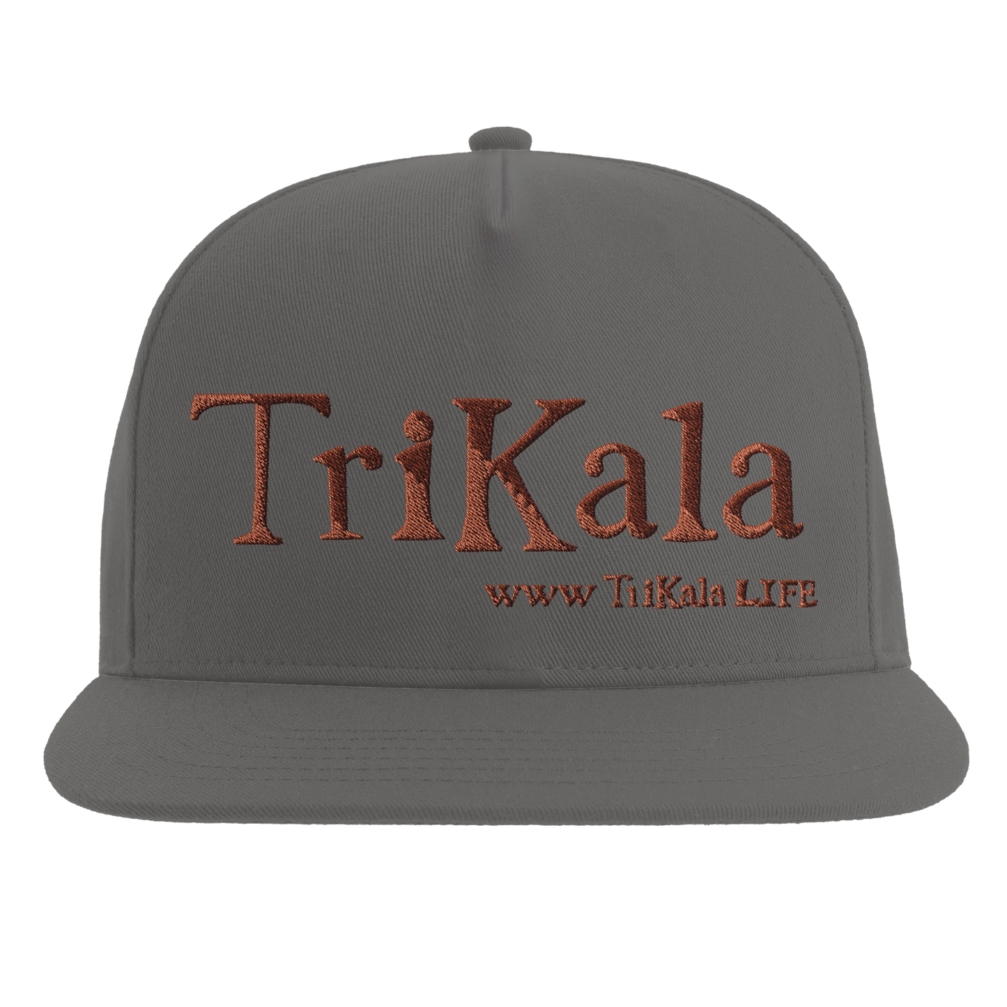 a305bece-21ca-46d6-8dd8-f5afc148568a