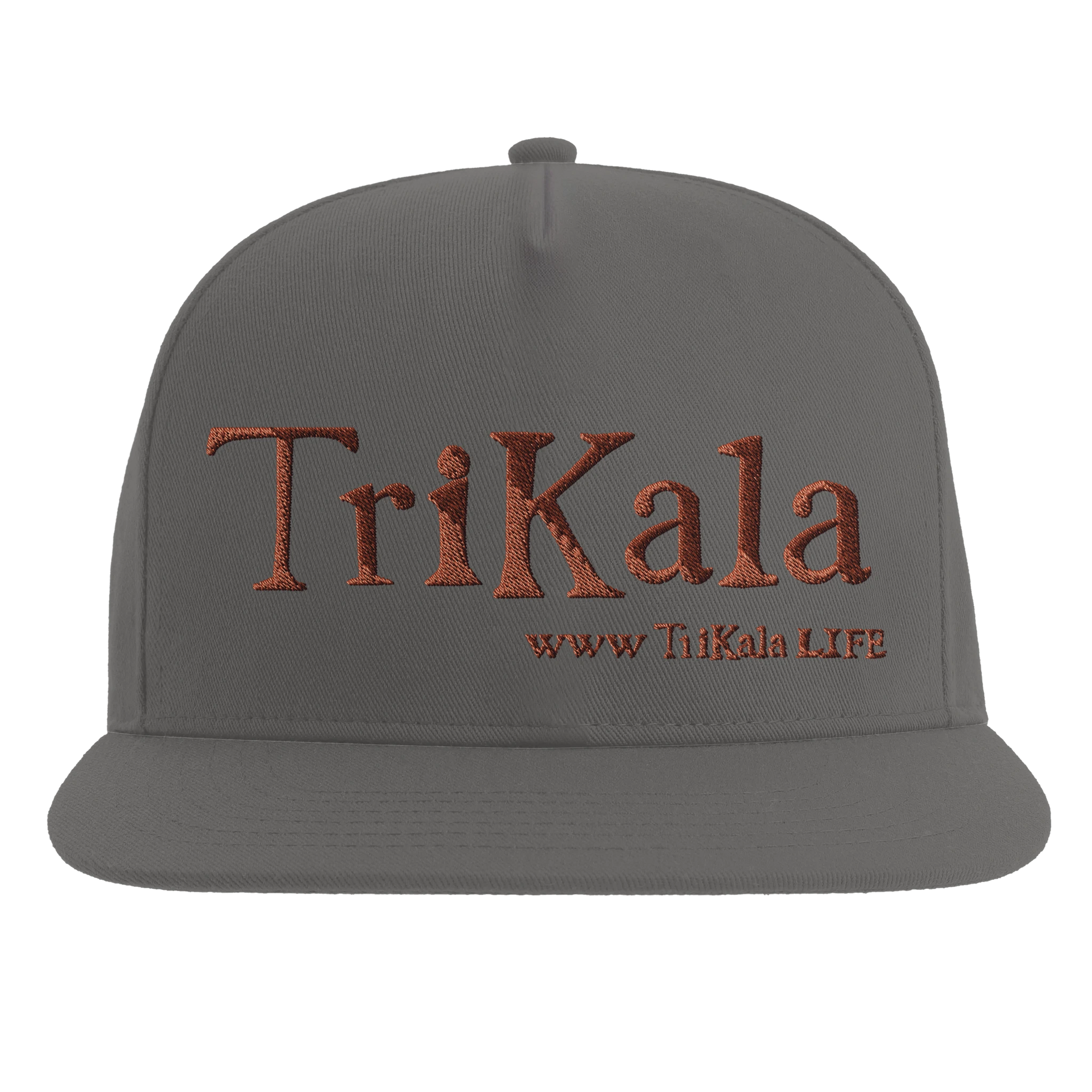 a305bece-21ca-46d6-8dd8-f5afc148568a