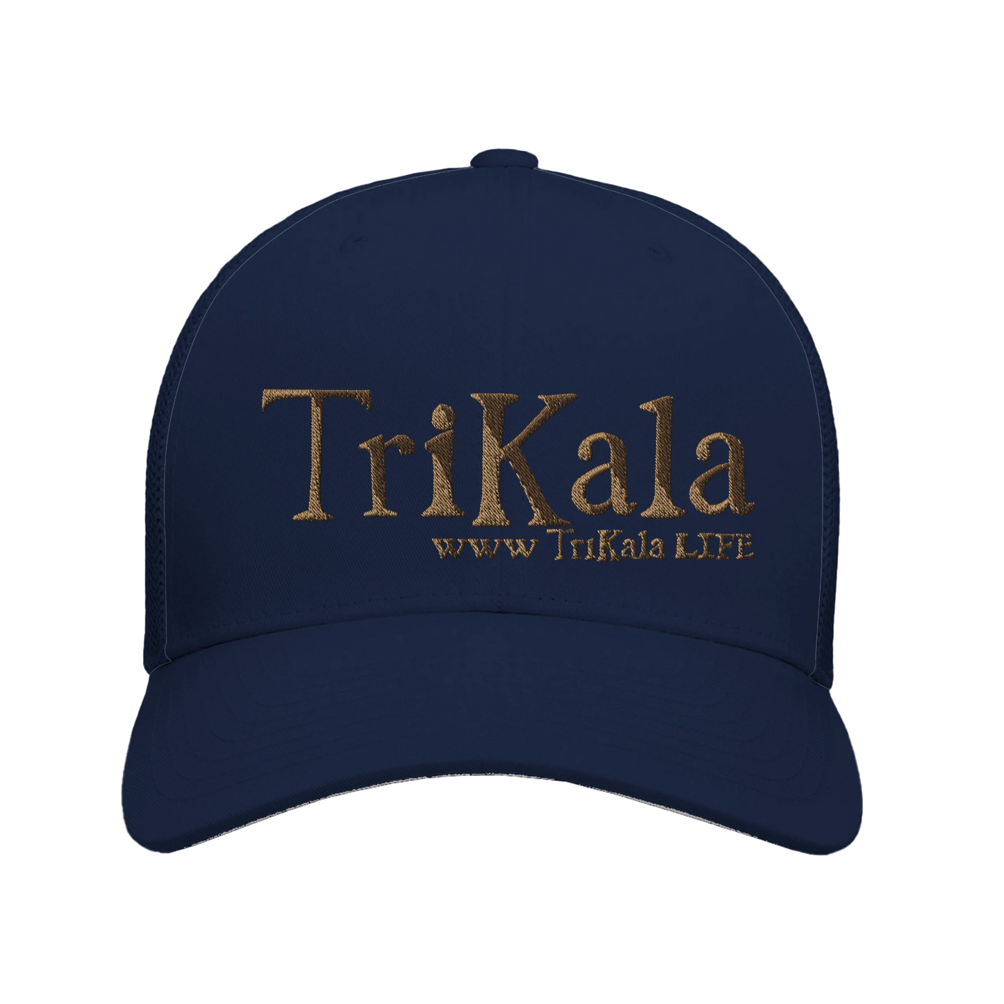 dbe246aa-7843-4918-a96f-296495cd54d4