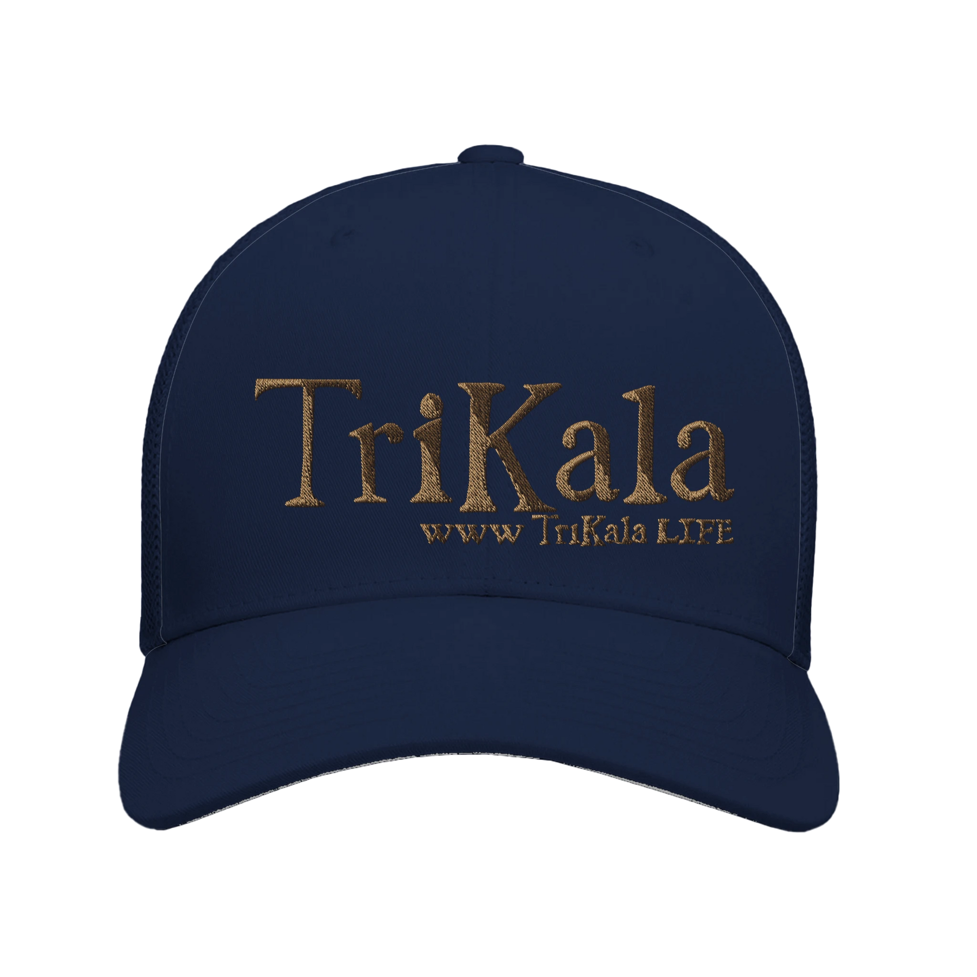 dbe246aa-7843-4918-a96f-296495cd54d4