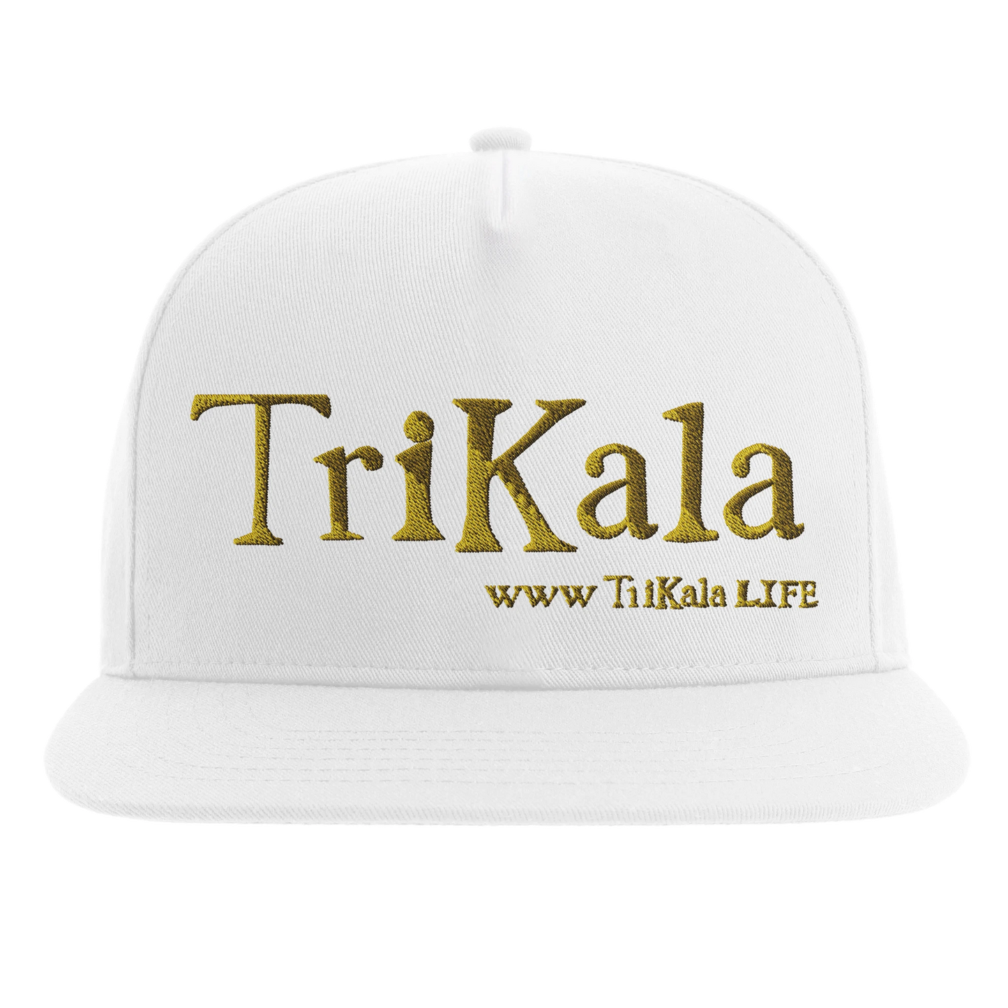 e02988e3-498a-4e0b-9029-7671596617a6