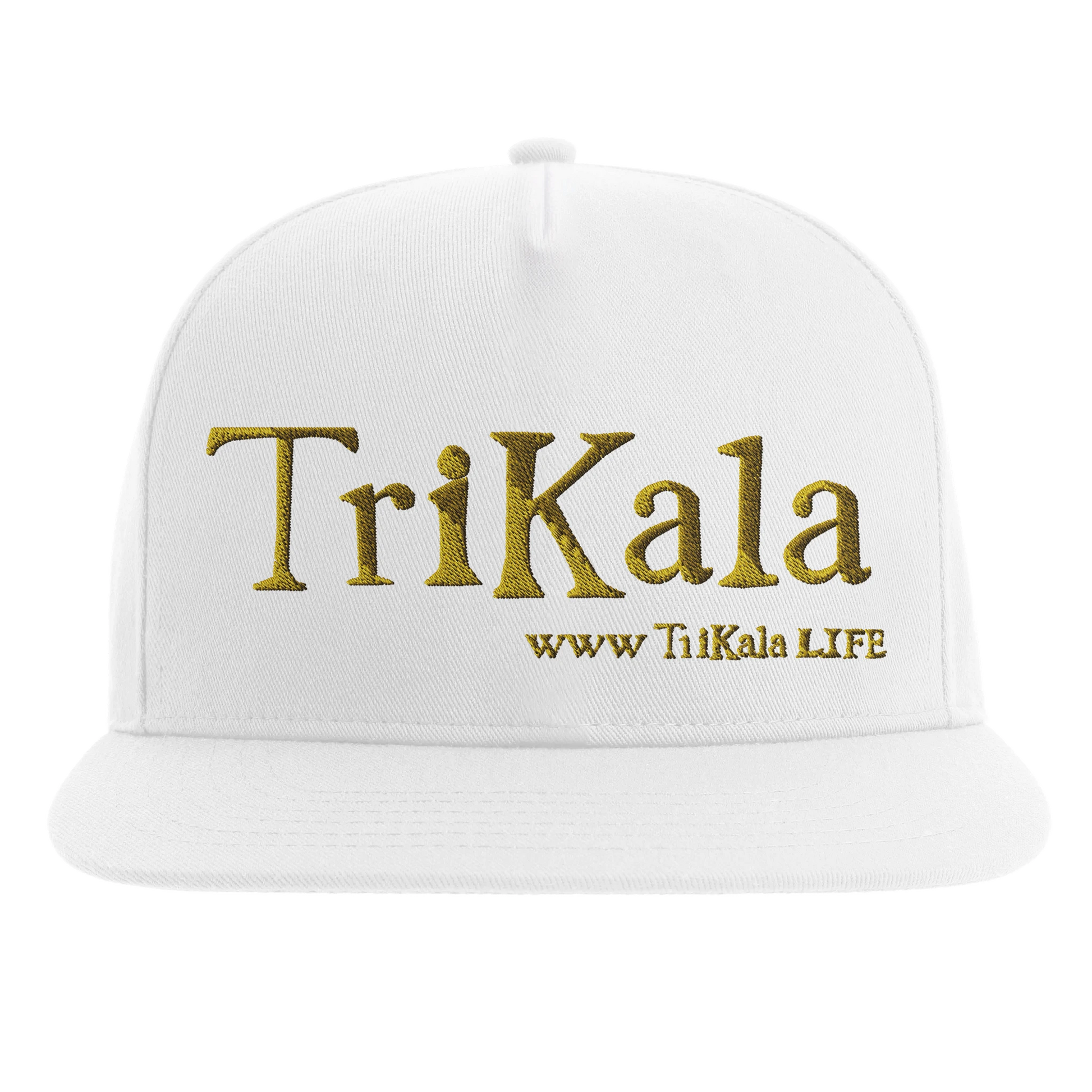 e02988e3-498a-4e0b-9029-7671596617a6